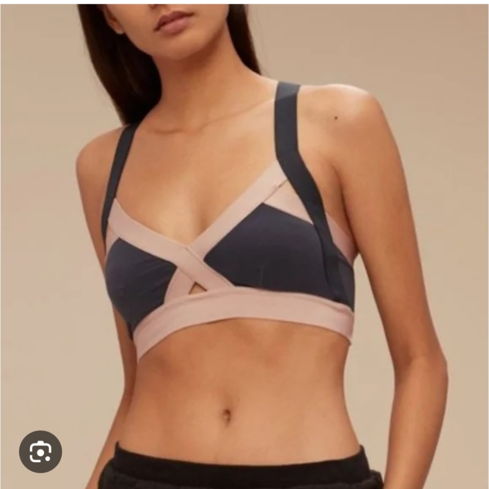 Aritzia Two-Tone Sports Bra - Navy and Pink